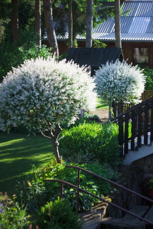 Siedem Lanow Villa Radkow Ngoại thất bức ảnh